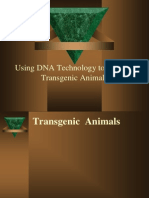 Tranasgenic Mice