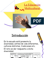 Presentacion Multiculturalidad (Completa)