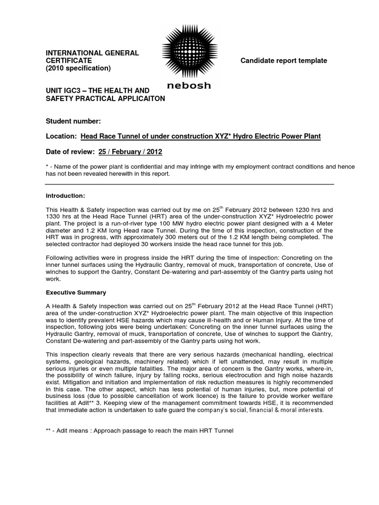 contract pdf assignment 3 IGC Report Management Sample 3  IGC