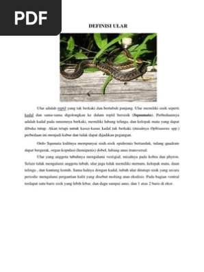 Ogziga spermani oldi