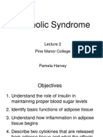 Metabolic Syndrome Lecture Explains Insulin Resistance and Inflammation