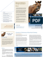 Performance Equine Dentistry Brochure (SA)