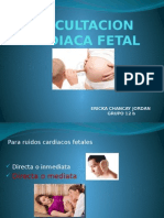 Auscultacion Cardiaca Fetal