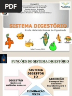 1 Sistema Digestorio Infantil 2013 1