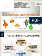 1 Sistema Digestorio Infantil 2013 1