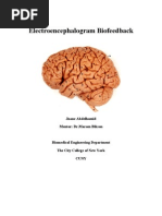 EEG Final Report