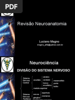 revisao-neuroanatomia