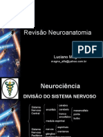 revisao-neuroanatomia