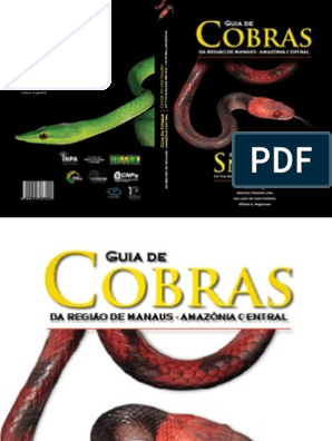 Cobra-cega (Typhlops reticulatus).