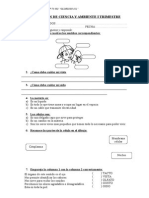 Evaluación de Ciencia y Ambiente I Trimestre