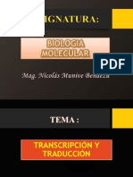 Transcripcion y Traducción