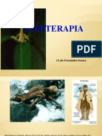 Teoria 4 - Fitoterapia
