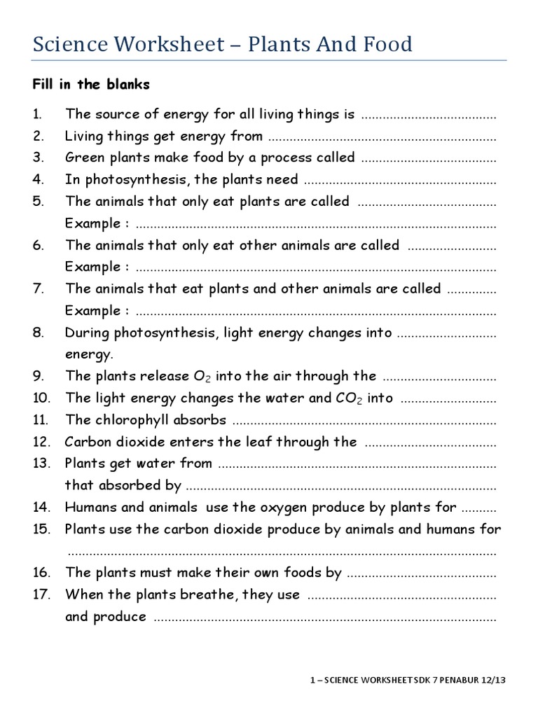 Science Worksheet Plants N Food