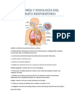 Anatomìa y Fisiologìa Del Aparato Respiratorio. Lorena Chimal.