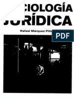 Sociología Juridíca, Rafael Marquez Piñedo