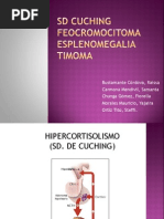 Sd Cushing-Feocromocitoma EXPO FINAL