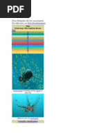 Download Fish by khalifawhan SN239150303 doc pdf