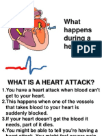 What Happens During A Heartbeat