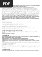 LDS Kiselev - Calcule Hidraulice | PDF Kiselev - Calcule Hidraulice | PDF  