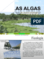 2014 Ficología en Paraguay