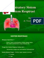 Sistem Respirasi Manusia