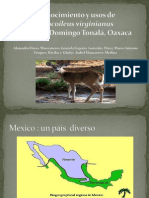 Santo Domingo Tonala