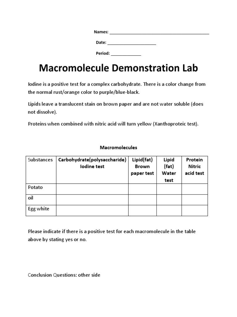 Macromolecule Lab | PDF | Wellness | Science & Mathematics