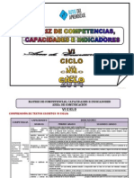 Matriz Competencias Capacidades Indicadores 2014