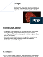 Tuberculosis Fisiopatologia