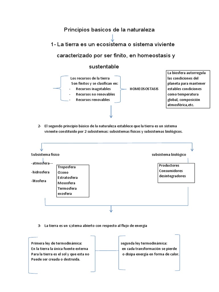 Principios Basicos de La Naturaleza Tierra Ecosistema