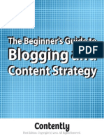 Beginners Guide to Blogging Content Strategy
