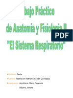 TP Anatomia