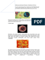 CIRI Virus Yang Menyebabkan Penyakit Pada Manusia
