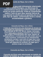 Aula - Raça - Cor - Etnia