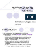 protozooariosengeneral-090715150613-phpapp02