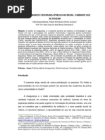 Direitos Humanos e Seguranca Publica No Brasil