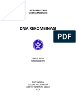 Dna Rekombinasi