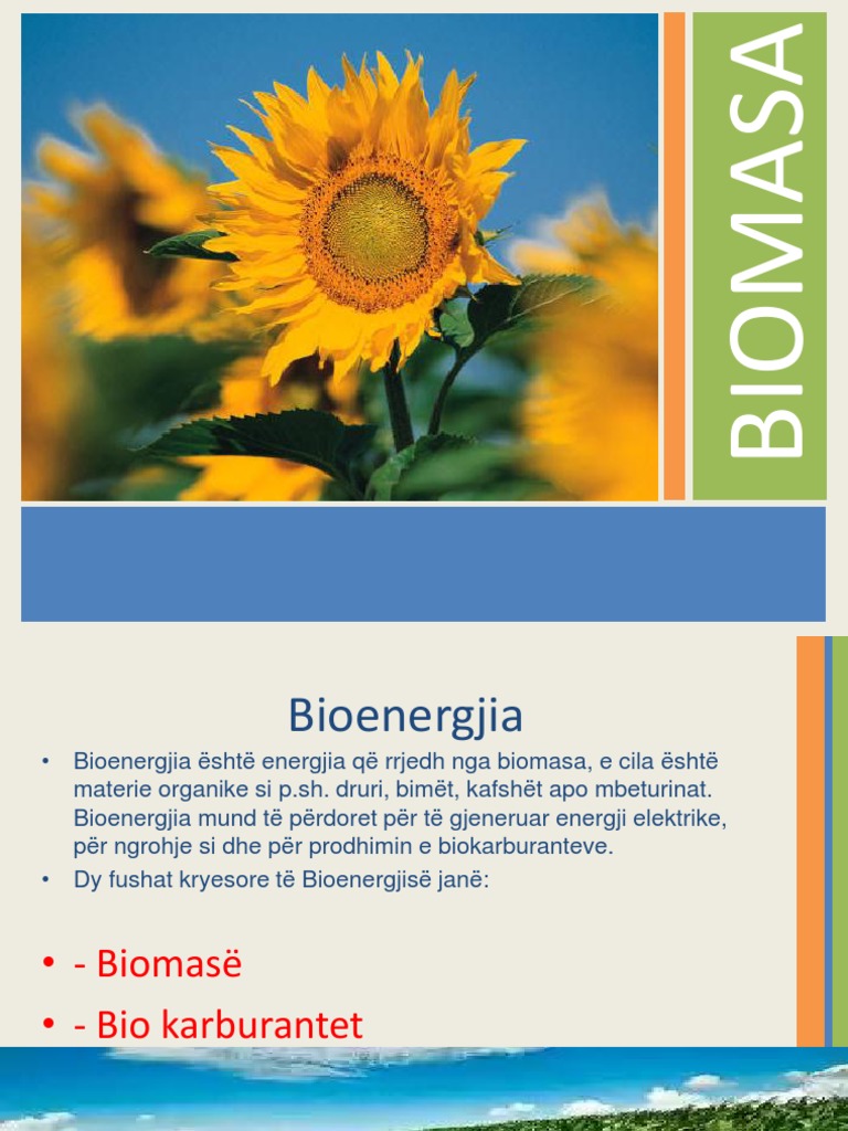 Biomasa | PDF