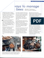 Stingless Bees