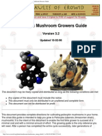 the Magic Mushroom Growers Guide 1996