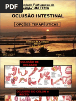 Oclusão Intestinal 
