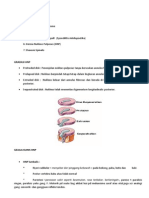 Cttan Neuro LBP