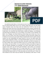Binatang Khas Sulawesi Tenggara