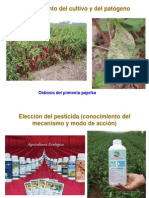 PCEP Proteccíon