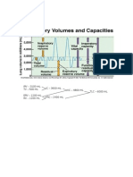 Respiratory Volumes and Capacities