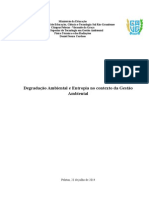 Trabalho - Degradação Ambiental e Entropia