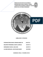 Trabajo de Etnocidio Final