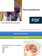 02 Neuroanatomia, Cerebro y Conducta