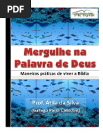 Mergulhando Na Palavra de Deus - Prof Átila Da Silva Meb