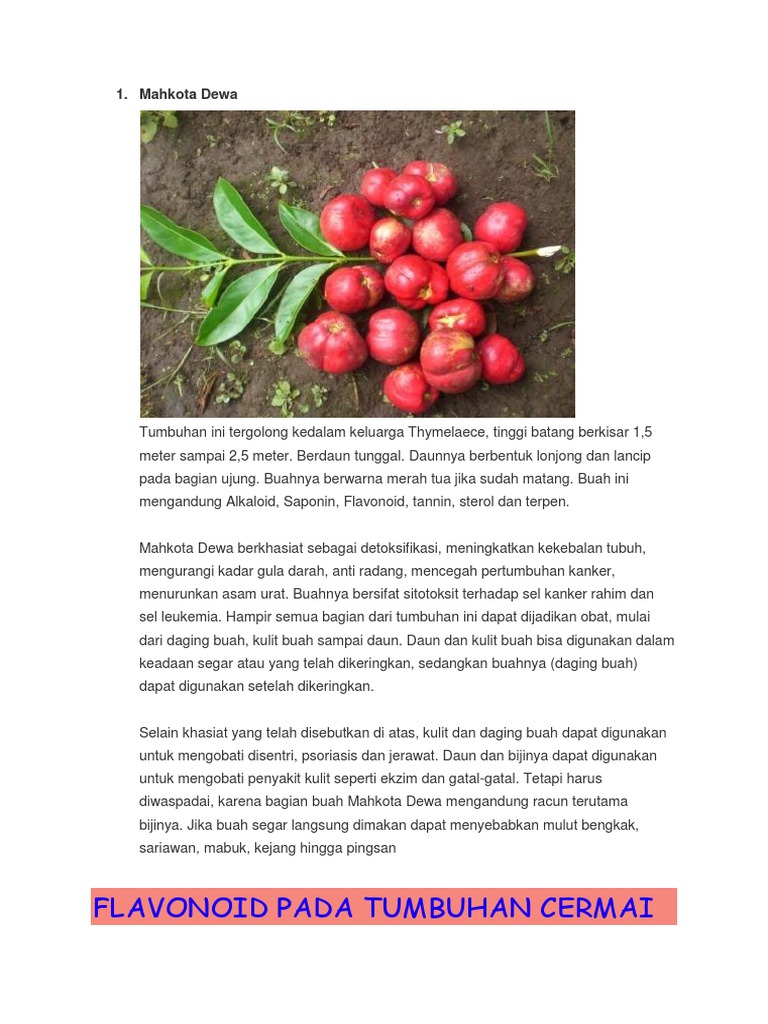 Tanaman Mengandung Flavonoid PDF